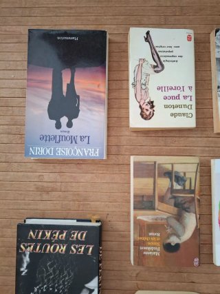 Lote 15 libros x 6€ (Francés)