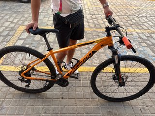 Megamo Natural 40 29 Bicicleta Montaña