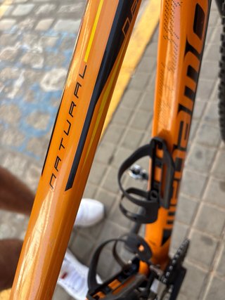 Megamo Natural 40 29 Bicicleta Montaña