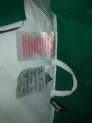 Chándal Adidas Betis Verde y Blanco