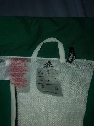 Chándal Adidas Betis Verde y Blanco
