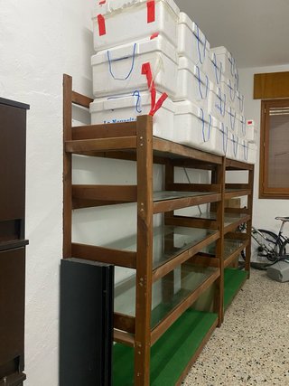 Estanterías madera y cristal