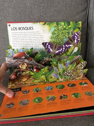 Bichos viaja al mundo de los animales más pequeños