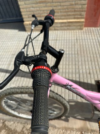 Bicicleta Cadete Rosa