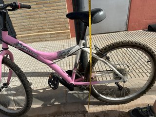 Bicicleta Cadete Rosa