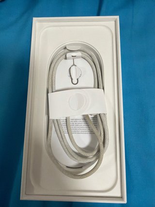 iPhone 16 Pro Max Plata