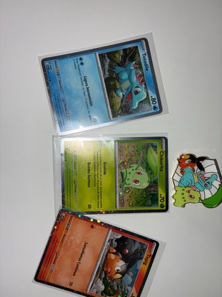 Pin Pokemon   Promos  Totodile Chikorita Tepig
