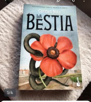 Lote libros