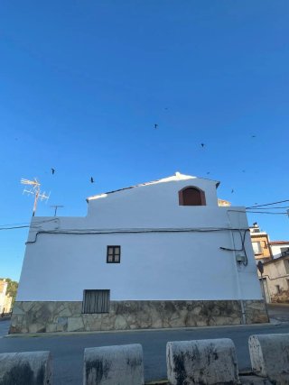 Pintura y Albañilería