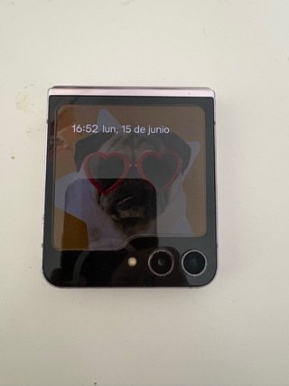 Samsung Galaxy Z Flip5 SM-F731B
