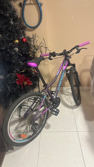 Bicicleta Morada Kross