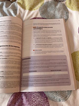 Didáctica de la educación infantil
