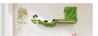 Set escalada pared gatos- balda pared para gatos