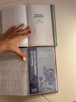 Diccionario Ilustrado Latín. Latino-Español/ Es...