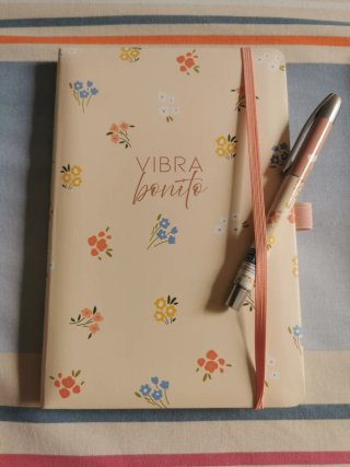Agendas Infantiles con Bolígrafo (3 uds)