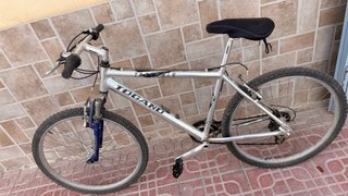Bicicleta Togano Track Alu Plata