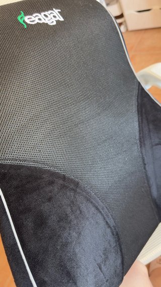 Cojín Lumbar Ergonómico Seagat