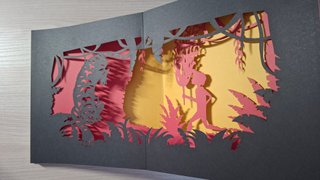 Libri illustrati, copertina rigida.