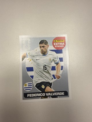 Cromo Panini Valverde Plata Mundial