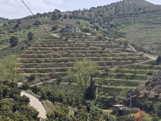 Terreno en venta en Itrabo