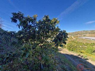 Terreno en venta en Itrabo