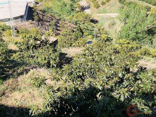 Terreno en venta en Itrabo