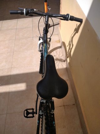 Bicicleta negra