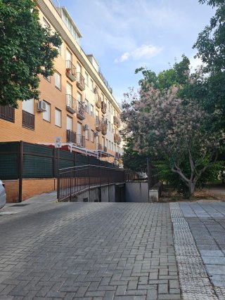 Gagaje