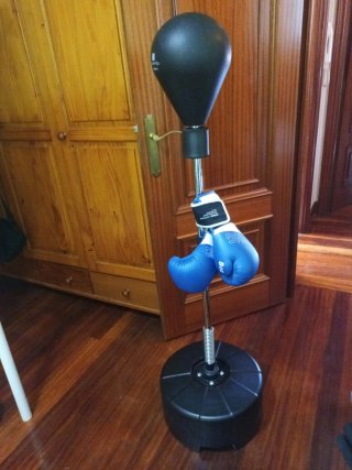 Saco de boxeo con guantes 8oz