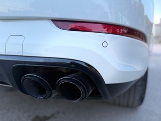 Porsche Cayenne Coupé Platinum Edition