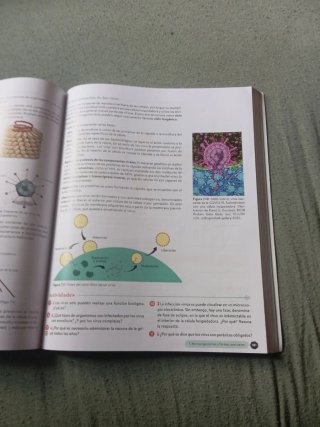 Biología, Geología y CC. Ambientales 1º Bachill...