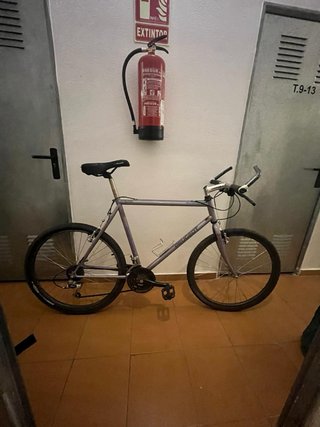 Bicicleta Peugeot Morada Adulto