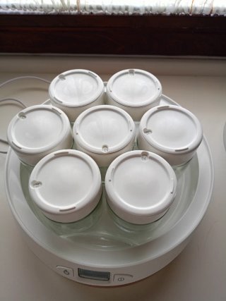 Yogurtera Moulinex