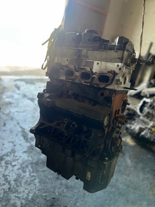 Motor DMZ 2.0 TDI Volkswagen/MAN