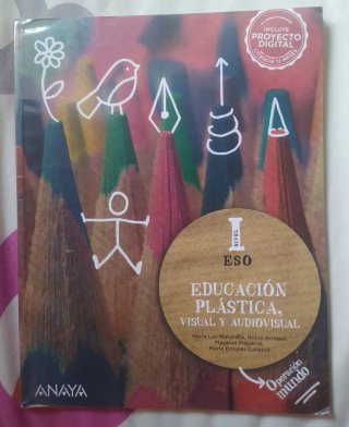 Educación Plástica, Visual y Audiovisual Nivel ...