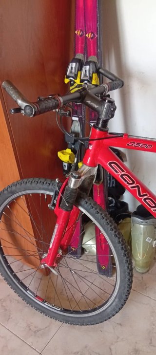 Bicicleta de Montaña Roja