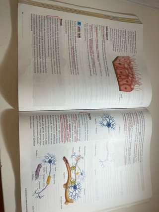 libro de biologia 1 bach