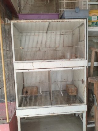 Lote de jaulas para pájaros