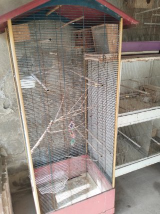 Lote de jaulas para pájaros