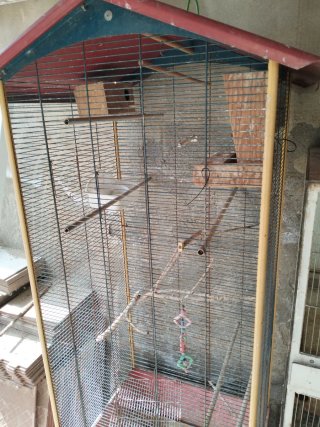 Lote de jaulas para pájaros