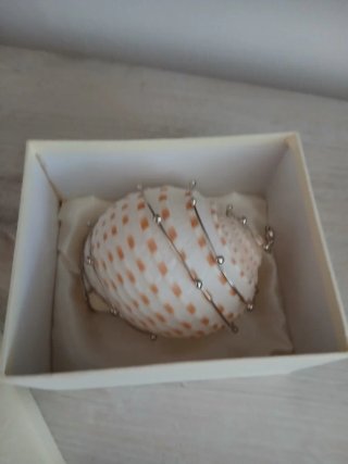 Conchiglia decorata con filo metallico