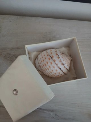 Conchiglia decorata con filo metallico