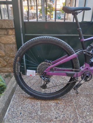 Orbea Rallon Carbono