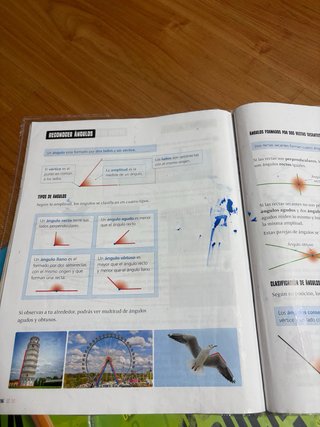 Matemáticas 3, Segundo Ciclo Primaria, FanFest