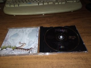 CD Yes - Relayer