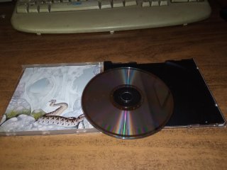 CD Yes - Relayer