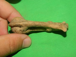 Silbato de terracota prehispánico