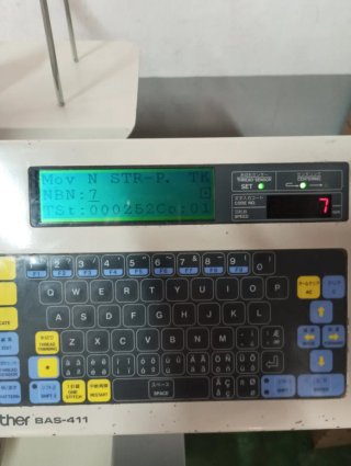 Bordadora Industrial Brother BAS-411