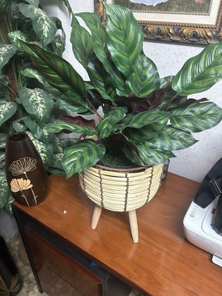 Planta Artificial Realista con Maceta