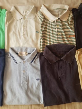 Lote 8 polos Lacoste, Massimo Dutti, burberry
